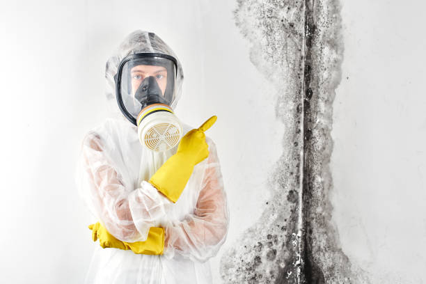 Best Asbestos and Lead Testing During Mold Inspection  in Spring Hope, NC